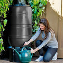 Waterbutt Kit With Butt, Stand & Diverter 210 Litre