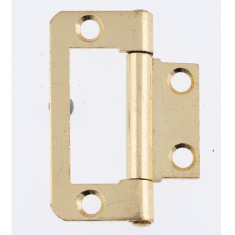Flush Door Hinge