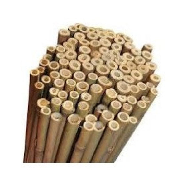 Bamboo Canes 7ft 10pcs