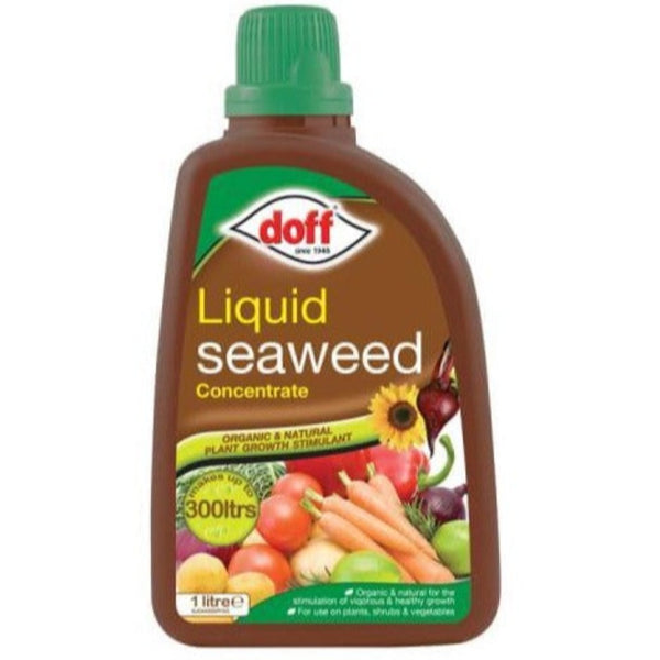 Doff Liquid Seaweed Concentrate 1ltr